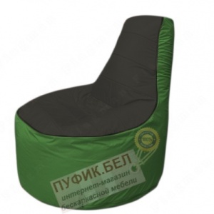 Кресло мешок Трон Т1.1-2408(черный-зеленый)
